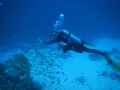 20130430_144105.jpg