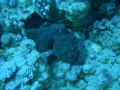 DSCN5416.JPG