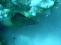 DSCN5458.JPG