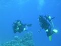 DSCN5458.JPG
