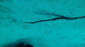 DSC_0028.JPG
