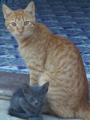 DSCN5458.JPG
